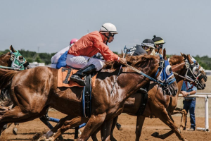 Belmont Stakes 2024: Betting tips as post positions are revealed